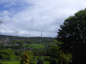 What a view
