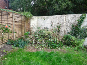 garden - after